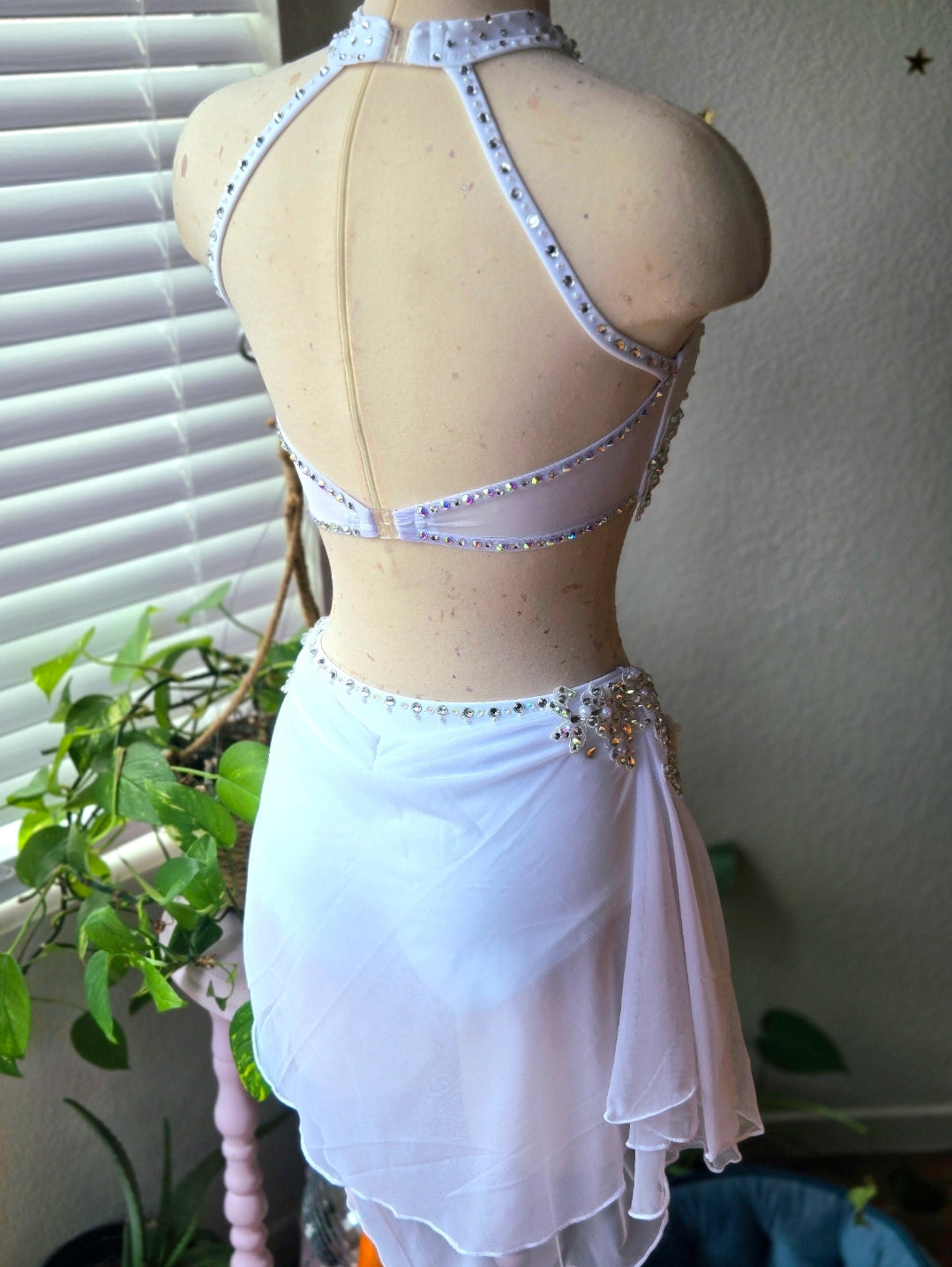 WSC Classic Leo or Two Piece